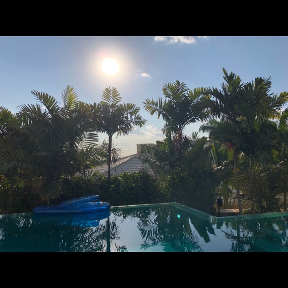 Meet your Posher, Autumn - Picture 1 of 1